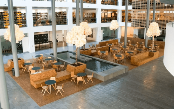 Giải pháp Wi Fi cho Trường học & Ký túc xá: