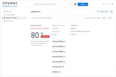 Malware Analysis