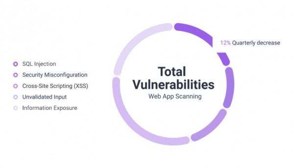 Web Application Scanning